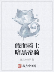假面骑士暗黑帝骑