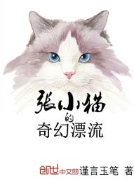 张小猫的奇幻游记